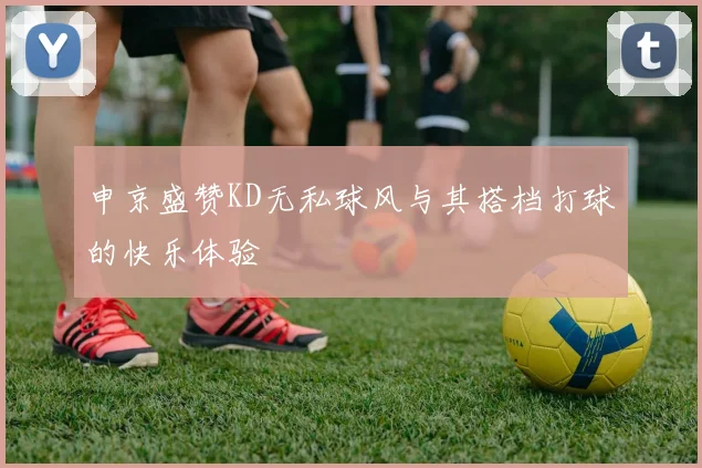 申京盛赞KD无私球风与其搭档打球的快乐体验